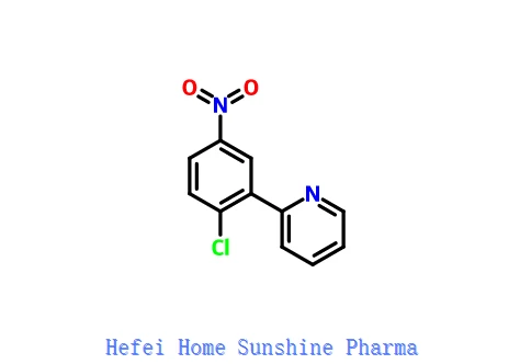2-(2-cloro-5-nitrofenil)piridina CAS 879088-40-1