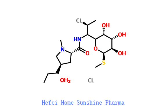 HIDROCLORUR DE CLINDAMICINA CAS 58207-19-5
