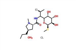 HIDROCLORUR DE CLINDAMICINA CAS 58207-19-5
